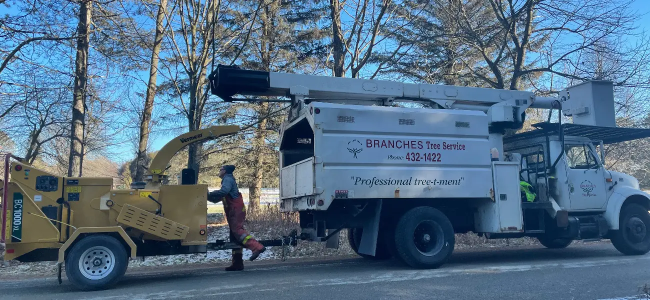 Branches Tree Service